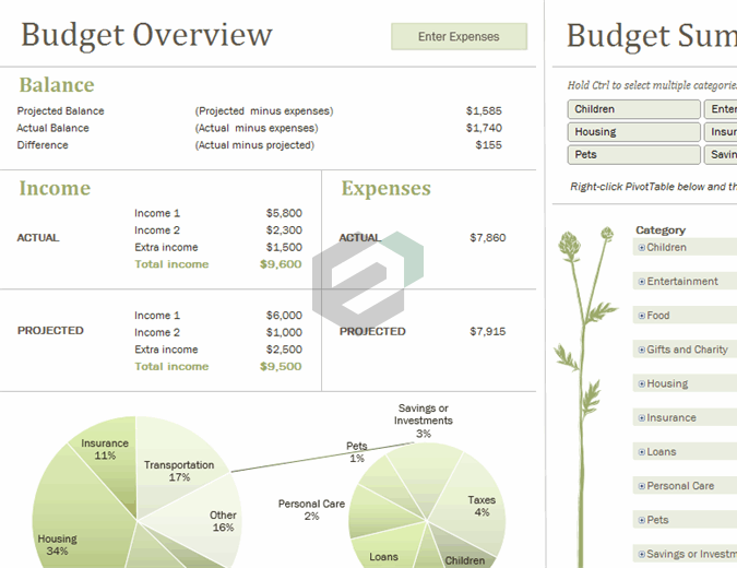 Family budget (monthly) excel template feature image