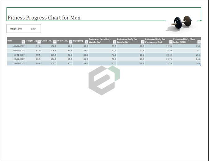 weight bodyfat tracker excel