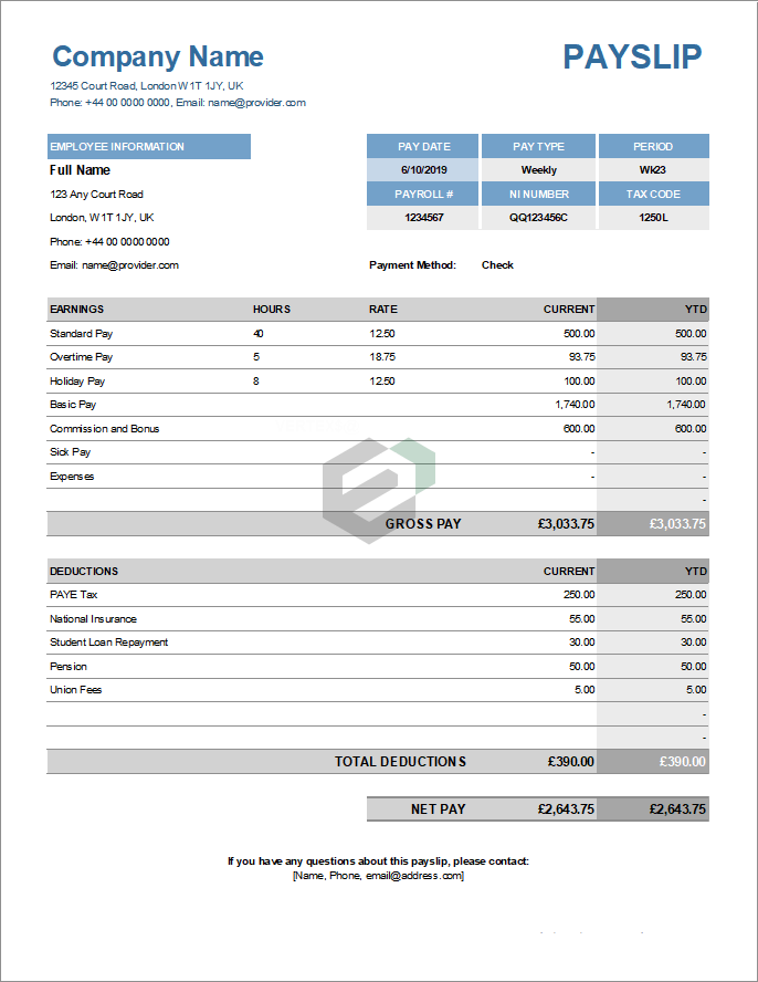 employee-payslip-paycheck-free-excel-customizable-template