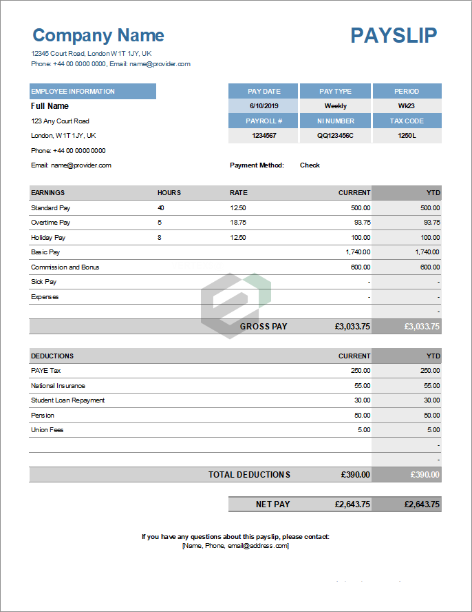 Employee Payslip Paycheck Free Excel Customizable Template