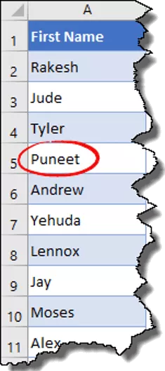 replace my name “Puneet” with “Punit”.