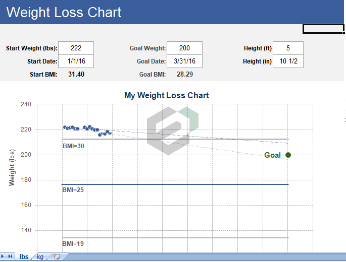 daily weight loss tracker excel