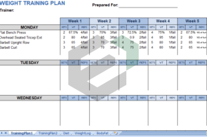 Weight Training Plan | Free Excel Templates and Dashboards